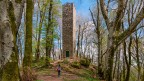 La torre La torre