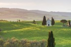 Vitaleta. Val d'orcia..
