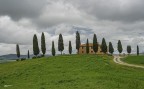 I cipressini di Pienza.