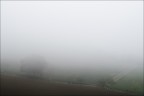 Di maggio Di maggio