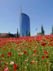 Natura in citta Natura in citta