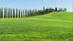 Il vialetto cipressato.. Il vialetto cipressato..