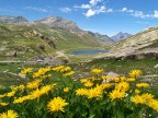 gran Paradiso gran Paradiso