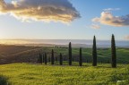Cipressi.. Cipressi..