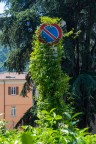 Divieto in ... prescrizione Divieto in ... prescrizione