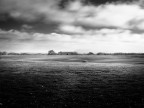 LANDSCAPE LANDSCAPE