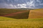 Oltre l'alba di Arnaldo Oltre l'alba di Arnaldo