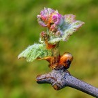 Solo Humor Photo

kampes