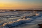 Focene_RM_Apr2022