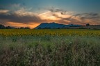 Tramonto Campagna Romana-Lug2022 Tramonto Campagna Romana-Lug2022