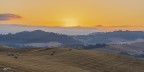 Round bales..2