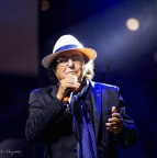 Albano Albano