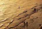 Sul mare dorato Sul mare dorato