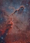 Elephant's trunk nebula Elephant's trunk nebula