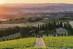 Prime luci sui vigneti dell'l'agriturismo Prime luci sui vigneti dell'l'agriturismo