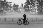 Ha Rubato il Mio Scatto! Ha Rubato il Mio Scatto!