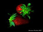 fragole fragole