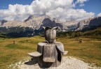 Fiore di montagna Fiore di montagna