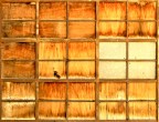Ferro, legno e vetro Ferro, legno e vetro
