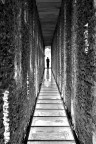 Ponte di Pondel, interno Ponte di Pondel, interno