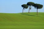 Tre Tre