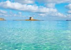Caraibi nostrani Caraibi nostrani