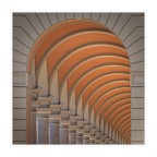 archi archi