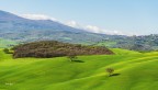 Nel mezzo al verde.. della Vald'orcia. Nel mezzo al verde.. della Vald'orcia.