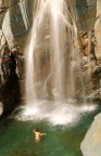 Bagno primordiale Bagno primordiale