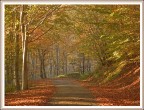 Viaggio nell'autunno Viaggio nell'autunno