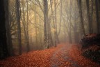 Verso Casa Verso Casa