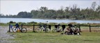 Picnic Picnic