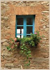Una finestra di un palazzo toscano... Una finestra di un palazzo toscano...