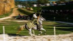 Palio....... Palio.......