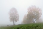 Autunno Autunno