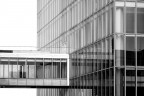 urban #116 urban #116