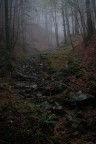Perdersi per ritrovarsi Perdersi per ritrovarsi