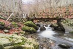 Ponticello sul Dardagna..2 Ponticello sul Dardagna..2
