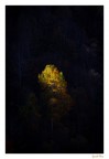Luce e colori Luce e colori