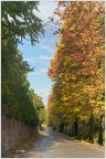 Camminando in questo vialetto dai colori autunnali.. Camminando in questo vialetto dai colori autunnali..