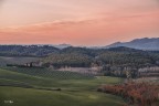 Alba Rosea nelle colline Pisane.. Alba Rosea nelle colline Pisane..