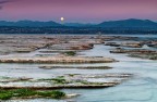 Alba a Sirmione Alba a Sirmione
