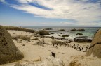 La baia dei pinguini 2 La baia dei pinguini 2