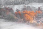 Autunno inoltrato Autunno inoltrato