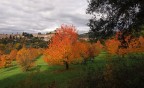 Autunno Autunno