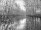 inverno in Padule soft inverno in Padule soft