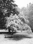 L'ultima nevicata