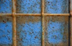 Il cielo è sempre blu Il cielo è sempre blu
