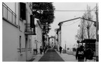 Viale Viale
