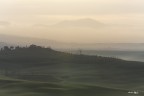 Leggere foschie del mattino..Val d'Orcia 24-12-22
